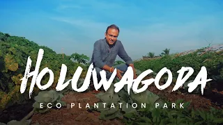 Eco Plantation Park Project Holuwagoda