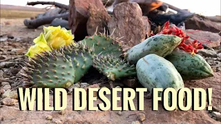 Eating Cactus and Other Desert Edibles(Yucca, Ocotillo) -Junkyard Fox