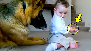 Plötzlich schnappt das Baby dem Hund den Knochen weg. Du wirst nicht glauben, was es dann tat!