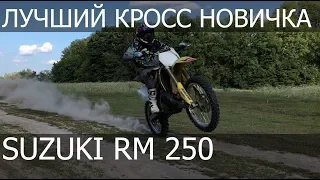 Лучший выбор новичка) Suzuki RM 250