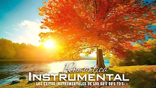ROMANTIC MUSIC - THE INSTRUMENTAL HITS OF THE 50'S 60'S 70'S - THE BEST MUSICAL THERAPY