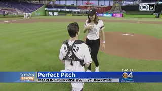 Trending: Marriage Proposal At Marlins Park