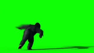 dancing gorilla green screen || free download