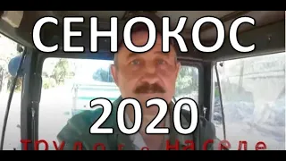 ✔сенокос 2020🔴 жара/ ветер/ крутим рулоны прф-145/ дождей нет