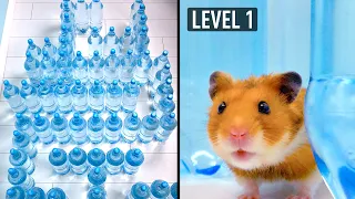 Amazing Water Bottle Maze For A Cat And A Hamster