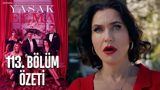 Yasak Elma 113. Bölüm Özeti