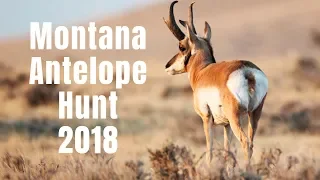 Montana Antelope Hunt 2018