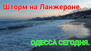 Одесса пляж Ланжерон. Дельфинарий Немо. Шторм на набережной Ланжерона. Одесса сегодня. #зоотроп