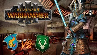 Use The Force AEKOLD | Tzeentch vs Wood Elves - Total War Warhammer 3