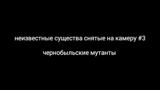 Неизвестные существа снятые камеру #3 " чернобыльские мутанты" ( слабонервным не смотреть )