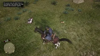 What Other Game Has This Much Attention To Detail - Red Dead Redemption 2