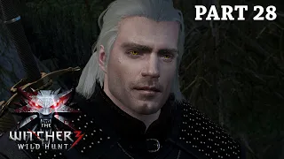 The Witcher 3: Wild Hunt Henry Cavill Mod Gameplay Walkthrough Part 28 Full Game - No Commentary