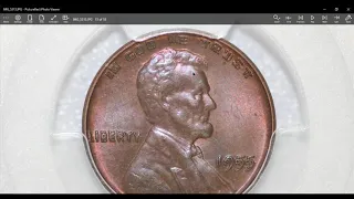 Check Out These RARE Coins I Bought! WOW! Coin Dealer Buys Rare Coins