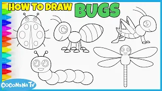 BUGS COMPILATION - How to Draw and Color for Kids - CoconanaTV