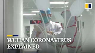 What we know about China’s mystery Wuhan coronavirus