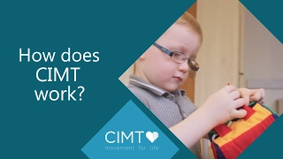 How does CIMT work?