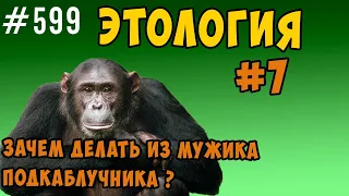 Из мужика в подкаблучники тряпку. Зачем они это делают ?