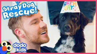 Puppy Who Was All Alone Flies Across The World To His New Home | Rescued! | Dodo Kids