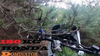 Hard Enduro     Honda Nx650 Dominator