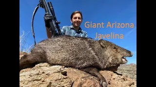 Arizona Rifle Javelina Hunt Dylan 2023