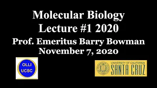 Molecular Biology #1 2020