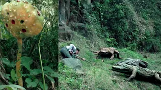 凶残鳄鱼、食人花疯狂来袭！营救小队在鳄鱼口边救下神秘人 【巨鳄 Mega Crocodile】| 冒险/动作 | 经典大本营