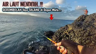 SEMUA PANIK ‼️ BOILING Ikan Talang di Depan Mata || Ultralight Casting || Sabiki Pelampung