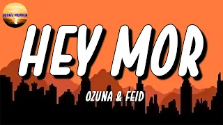 🎶 Ozuna Ft. Feid - Hey Mor | Maluma, Daddy Yankee, Bad Bunny (LetraLyrics)