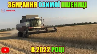 ВСЕ БУДЕ УКРАЇНА !!! ЗБИРАННЯ ВРОЖАЮ ПШЕНИЦІ НА ПОЛЯХ УКРАЇНИ 2022 | ACROS 535 / КамАЗ-5511 / 16.07