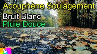 ACOUPHÈNES Soulagement Bruit Blanc Pluie Douce Sons Pluvieux Hyperacousie  Oreille Tinnitus Ambience