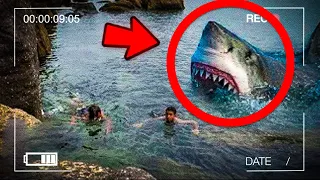 Top 10 Shark Attacks Caught on Camera