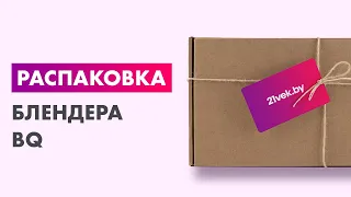 Распаковка — Блендер погружной BQ HB1231SS