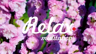 Релакс — Успокоение ума и расслабление в Японском саду. Медитация и Релаксация [4K]