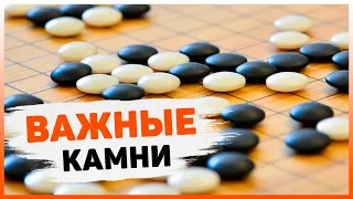 Лекция "Важные камни" [20кю - 1 кю]