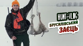 Hunt-Vlog Брусилівський заєць/ Брусиловский заец