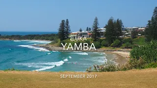 ILUKA - YAMBA