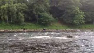 The Boat Pool Glendelvine Beat River Tay