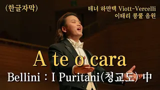 (한글자막) 테너 하만택 A te o cara(오, 사랑스런 그대에게) Bellini : I Puritani(청교도) 中 | Viott-Vercelli 이태리 콩쿨 음원