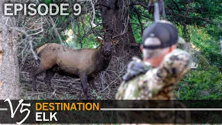 7 Bulls Within Bow Range! EPISODE 9 (Destination Elk V5)