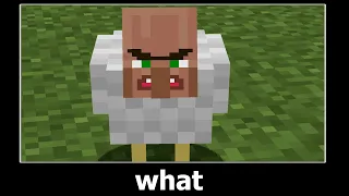 Minecraft Wait What Meme Part 3 (Chicken Villager)