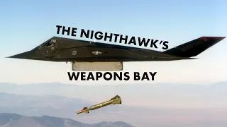 The Nighthawk's Weapons Bay #aviation