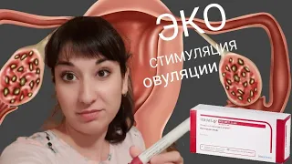 Делаю себе укол Гонал / Стимуляция овуляции / ЭКО по ОМС