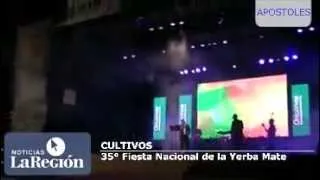 Cultivos Fiesta Nacional de la Yerba Mate