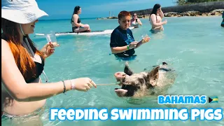 Feeding Swimming Pigs in Bahamas 🇧🇸 Paradise Island aka Pig Island 🐷🏝️