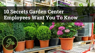 10 Secrets Garden Center Employees Want You to Know