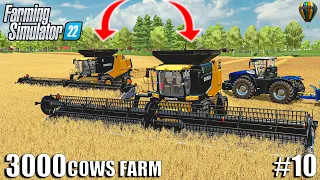 DOUBLE CLAAS HARVEST + Tending to 3000 COWS | 3000 COWS Farm Ep.10 | Farming Simulator 22