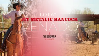 Lot 67: JIT Metalic Hancock | The Horse Sale at Rancho Rio 2024