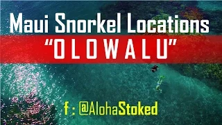 Maui Snorkel Locations : Olowalu