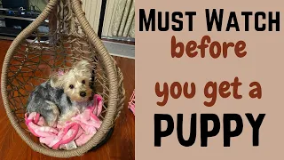 12 NEW PUPPY TIPS | THINGS I WISH I KNEW BEFORE GETTING A YORKIE PUPPY | SQUATSNSPLITS