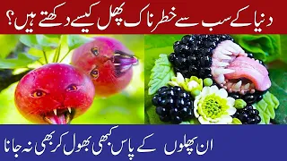 10 Most Dangerous Exotic Fruits That Can Kill You | 10 most dangerous fruits in the world |